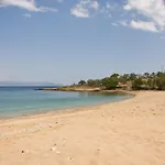 Oasis Λογαράς